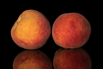 Group of two whole fresh fuzzy peach isolated on black glass