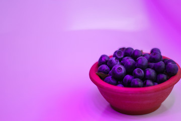 a plate of blueberries with a pink highlighting. space for text