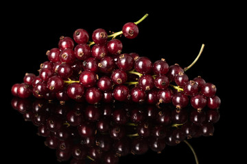 Lot of whole fresh dark redcurrant berry clusters isolated on black glass