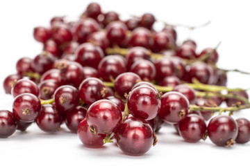 Lot of whole fresh dark redcurrant heap isolated on white background