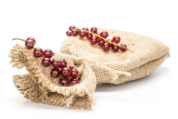 Lot of whole fresh dark redcurrant on jute bag isolated on white background