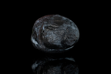 One whole drying dark blue plum isolated on black glass