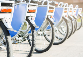 Sharing bikes service. New bicycles for rent outdoor