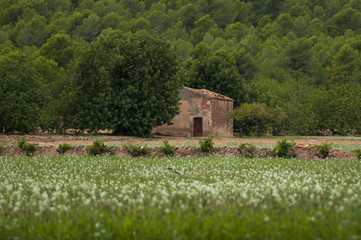 abandoned farmhouse in the fields of Catalonia