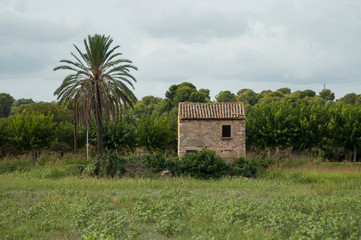 abandoned farmhouse in the fields of Catalonia