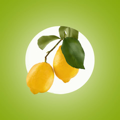 Fresh falling yellow lemon fruits isolated on colored background