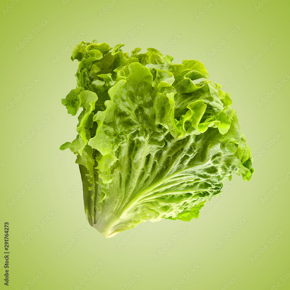 Wall mural Fresh salad isolated on light green background