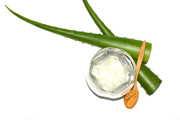 Aloe vera sliced and honey in spoon  isolated on white background copy space