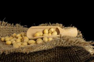 Lot of whole raw yellow soya bean on jute cloth with wooden scoop isolated on black glass