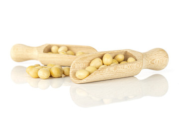 Lot of whole raw yellow soya bean in two scoops isolated on white background