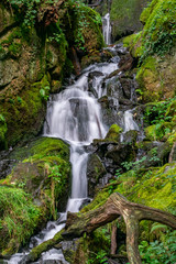 Waterfall near Burrator Reservoir, Plymouth, Dartmoor, Devon