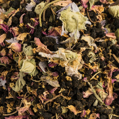 herbal ivan tea on a white background