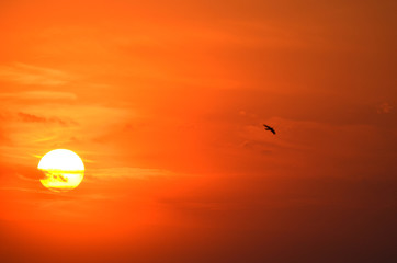 Sunset sky, birds flying in the sky,photo