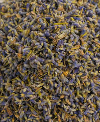 Lavender tea on a white background