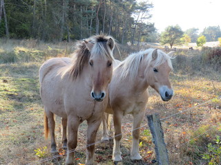 Schön abhängen mit einen Kumpel