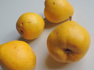 fruits isolated on white background