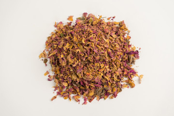 dry rose on a white background