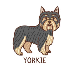 Isolated Yorkshire Terrier in Hand Drawn Doodle Style