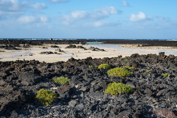 Lanzarote