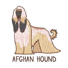 Isolated Afghan Hound in Hand Drawn Doodle Style