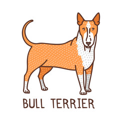 Isolated Bull Terrier in Hand Drawn Doodle Style