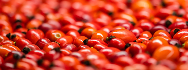 Detail macro view of dog rose hips (latin name Fructus cynosbati) prepared for drying. Dried rose hips are important source of vitamins in alternative medicine. Typical fall berry fruit