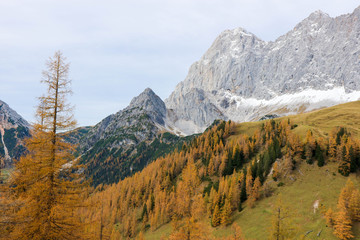 Autumn view of the alps mountains with colorful forest and snowy peaks
