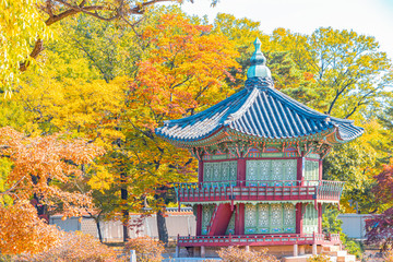 Autumn in Seoul in Gyeongbokgung Palace  South Korea