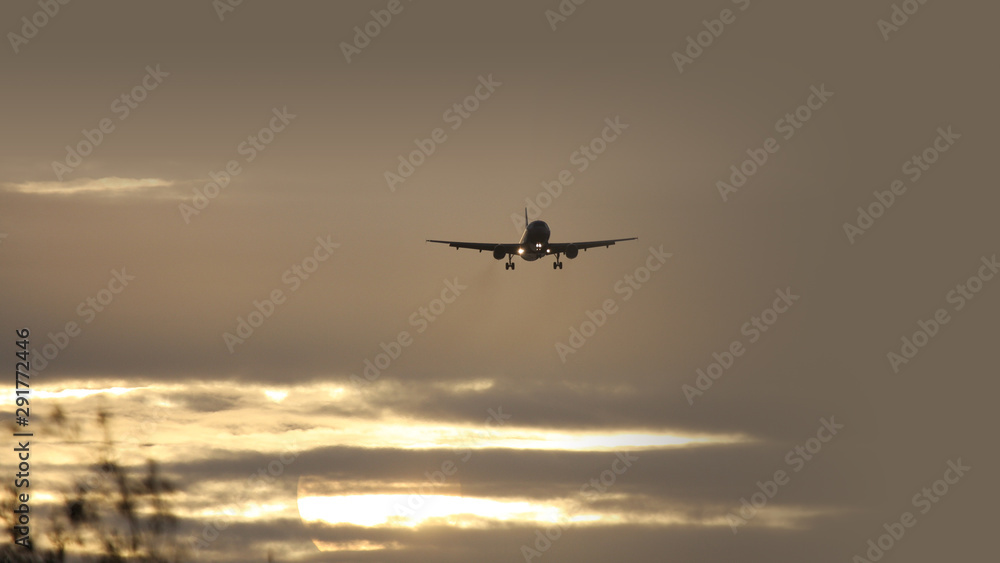 Wall mural air plane in sunset sky