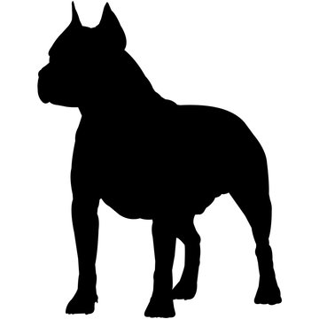 American Staffordshire Terrier  Silhouette Vector