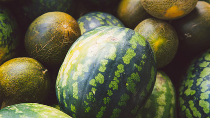 Pile of ripe green watermelons and yellow melons, fresh fruits, wholesome food.
