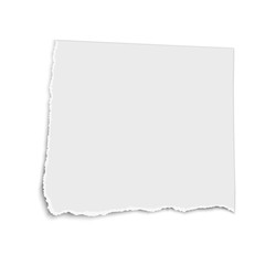 White vector square paper tear isolated on white