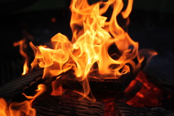 Fototapeta premium Fire in fire pit