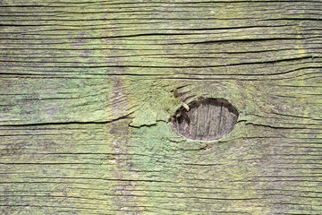 Weathered green shelf with a wood grain in close-up.