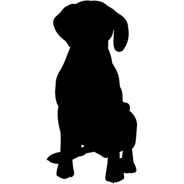 recommend clip art: Harrier  Silhouette Vector