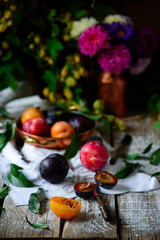 Autumn still life with plums .style rustic