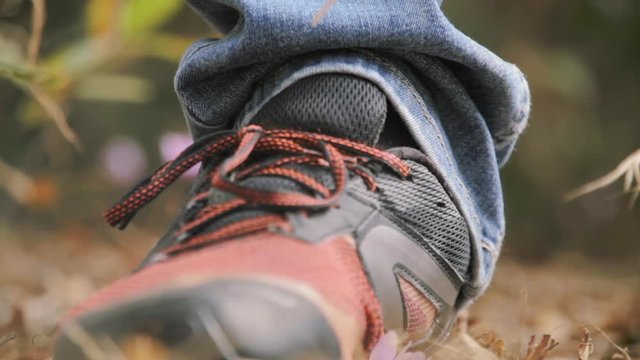 A beautiful delicate pink flower, destroyed by a huge foot stomping it. Symbolic shot of the relationship between humans and nature.