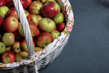 A large wicker basket with ripe juicy apples. New crop. On a gray background. View from above.