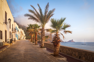 The beautiful little promenade of Marettimo with white houses and palm trees, Egadi Islands, Italy