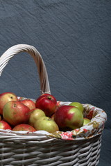 A large wicker basket with ripe juicy apples. New crop. On a gray background.