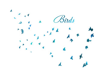 A flock of flying blue birds. Vector illustration
