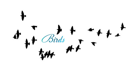A flock of flying birds. Vector illustration
