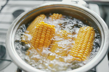 corn on the cob in boiling water