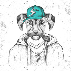 Hipster animal dog dressed in cap like rapper. Hand drawing Muzzle of dog