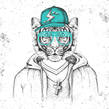 Hipster animal tiger dressed in cap like rapper. Hand drawing Muzzle of tiger