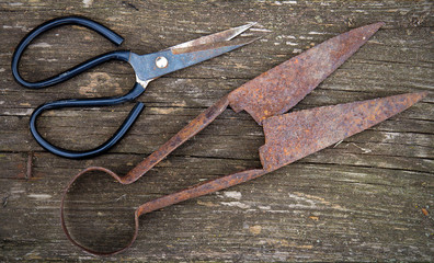 Obraz premium Vintage rusty scissors
