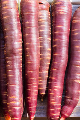 Freshly picked crop of dark purple carrots on a wooden window sill on a farm, harvest season