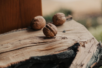 Walnuts on wooden log close-up