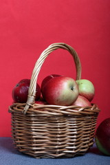 Wicker basket with ripe juicy apples. Nearby are a few apples. New crop. On a coral background.