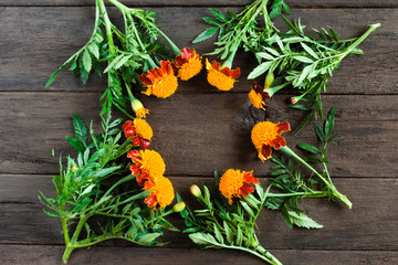 Frame of beautiful orange marigolds on a wooden background. Natural floral background
